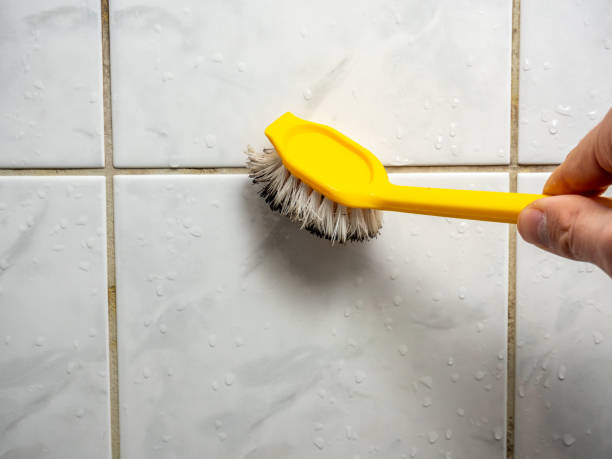 Best Insurance-Related Mold Remediation in Banner Hill, TN