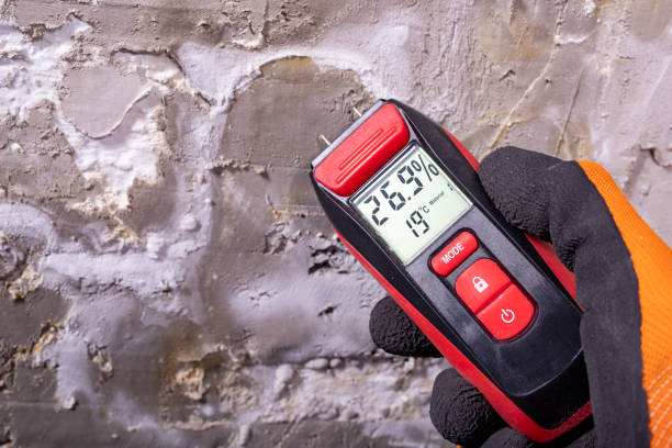 Best Mold Remediation for Specific Building Types in Banner Hill, TN